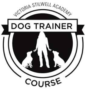 saskatoon dog trainer, puppy training saskatoon